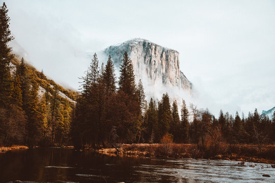 Yosemite Scenic River