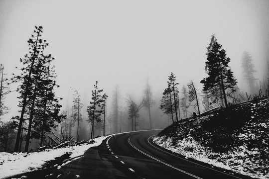 Road passing through forest in winter