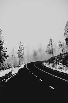 Road passing through forest in winter