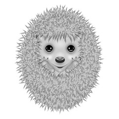 Cute gray cartoon hedgehog on white isolated background.
