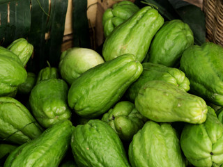Chayote,Cucurbitaceae
