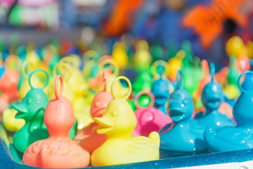 Obraz premium Plastic ducks at the fair
