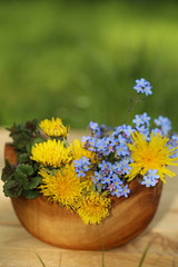 Healing Herbs. Herbal Collection in a wooden round bowl on a wooden board on a  green background. catnip, dandelion, forget-me-not