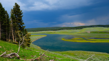 Curves in Yellowstone National Park