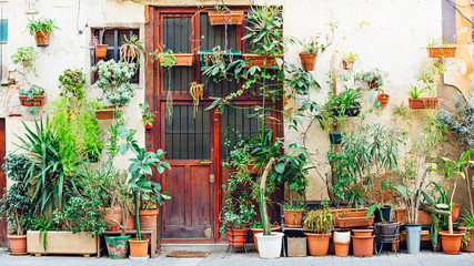 Fototapeta na wymiar Entrance to the building with a very old vintage wooden door and lots of flowers in pots. Barcelona, Catalonia, Spain