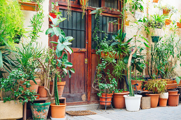 Entrance to the building with a very old vintage wooden door and lots of flowers in pots. Barcelona, Catalonia, Spain