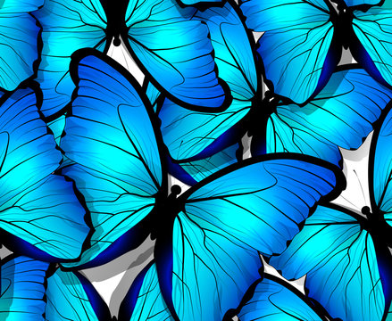 Seamless butterfly pattern wings on white