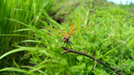 Hi Sjsdwi ihebfj jdbdkod ejdhusieb ishsueos isbsi so siwddj isbsklwb hskakj isxbl didn't jsbdksk iebeosbe idbjslakhdjd. Sksbrjd Ashish aiabhsoabsuxw is a is 