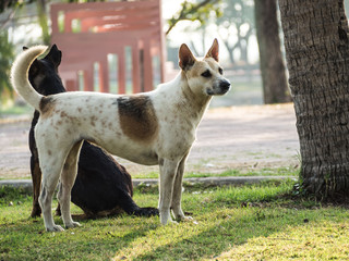 What are you waiting for.