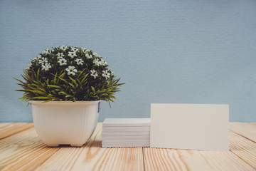 Blank business cards and little decorative tree in white vase on wooden working table with copy space for add text ID. and logo, business company concept.