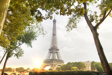 Fototapeta na wymiar Romantic sunset background. Eiffel Tower over the trees in Paris, France.