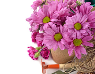 Garden tools and flowers