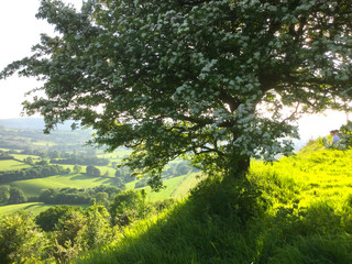 The Green Hills and Valleys of the Gloucestershire Countryside in Spring and Summer.