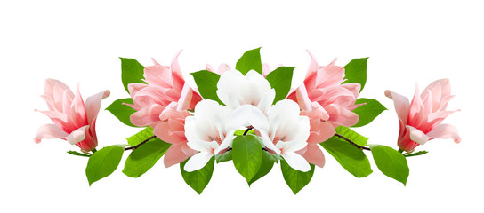 Naklejka premium Magnolia flowers isolated on white background
