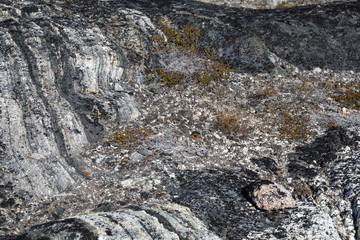 Grönland - Wildnis - Einsamkeit