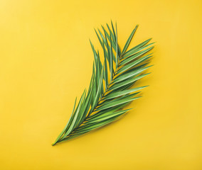 Obraz premium Green palm branches over yellow background, top view. Summer vacation or travel concept