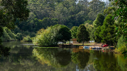 Fototapeta na wymiar A man waits for tourists to hire his colorful boats on picturesque Lake Jubilee in Daylesford, Victoria Australia