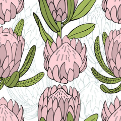 Hand-drawn flowers protea.  Vector  seamless pattern