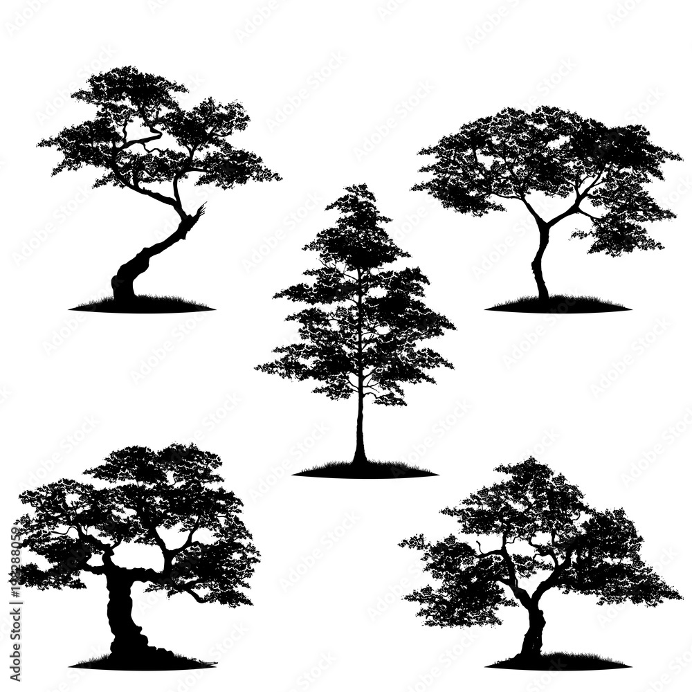 Wall mural Collection tree silhouette isolated on white background.