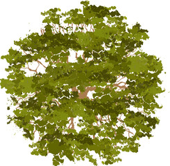 Trees top view for landscape vector illustration.