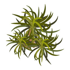 Trees top view for landscape vector illustration.