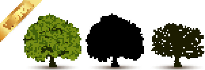 Fototapeta premium Beautiful tree Realistic on a white background.