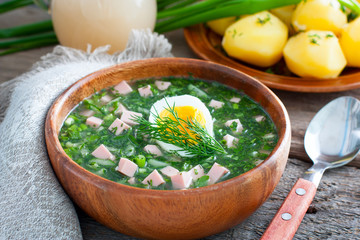 Traditional Russian cold summer soup - a bowl of sausage and fresh herbs, horizontal