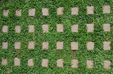 Natural background of grass and beton