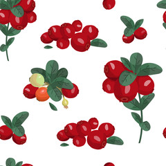 Cowberry and leaves vector set. Colorful illustration, isolated elements.