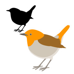 robin bird vector illustration flat style  silhouette