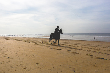 Horse rider on a sandy beach