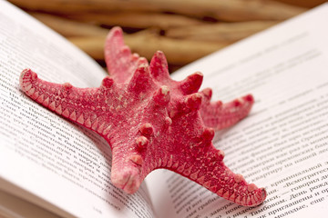 a bright starfish and a book