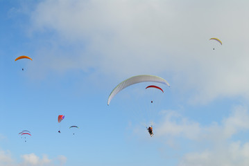 Competitions of paragliding. Extreme sport.