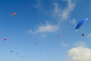 Competitions of paragliding. Extreme sport.