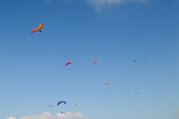Competitions of paragliding. Extreme sport.