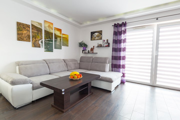 Modern living room interior with canvas on the wall.  Photos on canvas are available in my gallery.