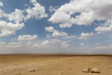 Serengeti - Savanne - Tansania