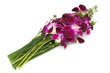 Fototapeta premium Orchideen von Thailand
