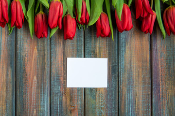 Naklejka na ściany i meble Red tulips and empty card for your text