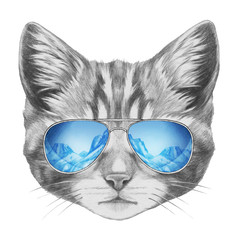 Portrait of Cat with glasses, hand-drawn illustration