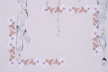 A blurred abstract in non-focus image of cherry blossom flowers and melting icicles on a pale...