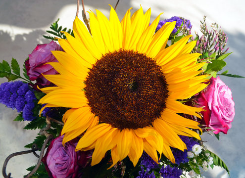 Macro shot of a yellow sunflower (Helianthus annuus) in the middle of a bouquet of colourful flowers