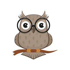 Owl with glasses