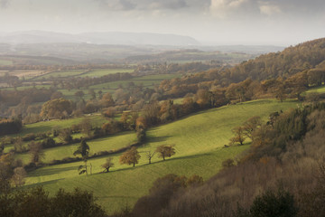 Autumn View from Cothelstone Hill