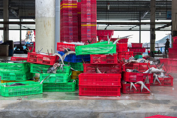 The fish market in Vietnam in the port