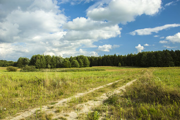 Road, meadow and forest