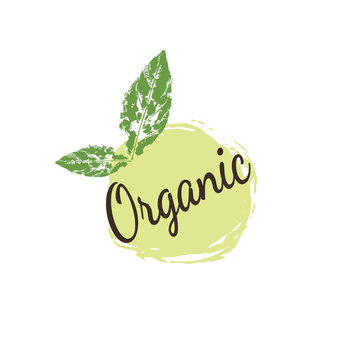 Organic food, farm fresh and natural product icons and elements collection for food market