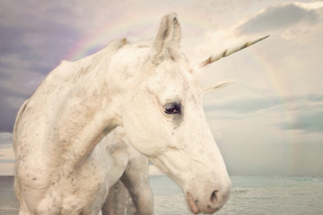 Obraz na płótnie Canvas Photo Realistic Unicorn walking by the ocean with rainbow sky