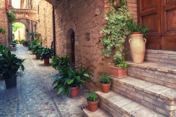 Fototapeta na wymiar Plants in pots on narrow street of the ancient city of Spello, Umbria, Italy