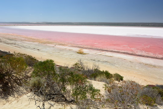 Hutt Lagoon or Pink Lake. Port Gregory. Coral Coast. Western Australia